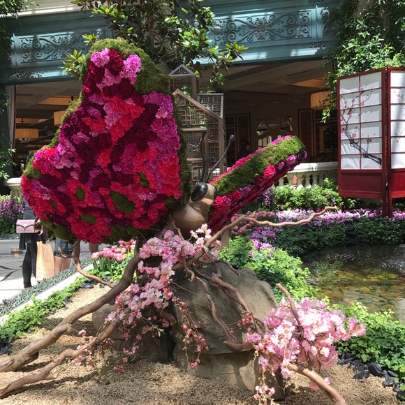 Meet your Posher, Holly - Picture 1 of 1